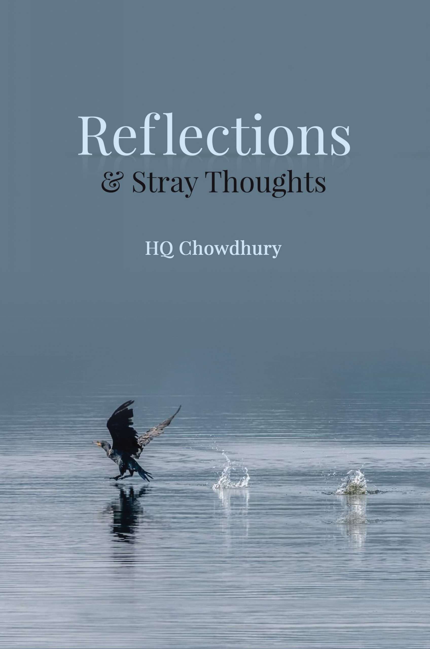 Reflections and Stray Thoughts